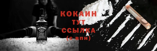 прущие грибы Каменск-Шахтинский