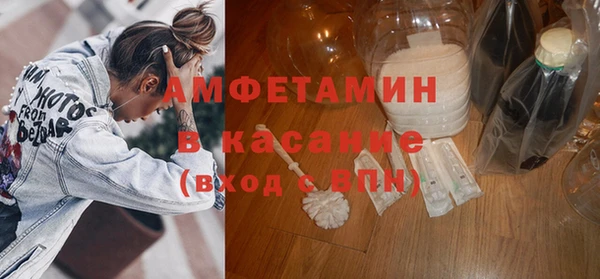 амф Каменногорск